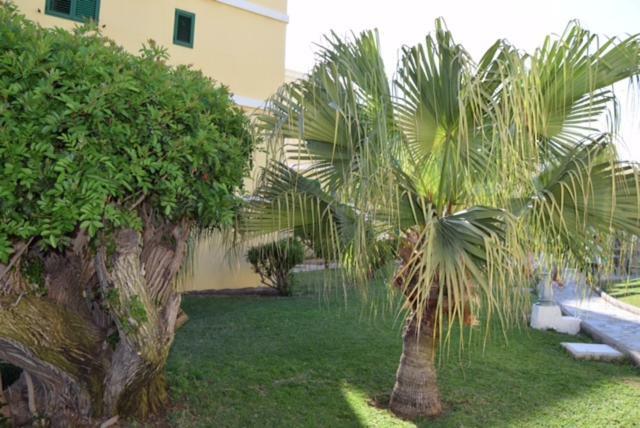 Tara Apartment Playa del Ingles  Dış mekan fotoğraf